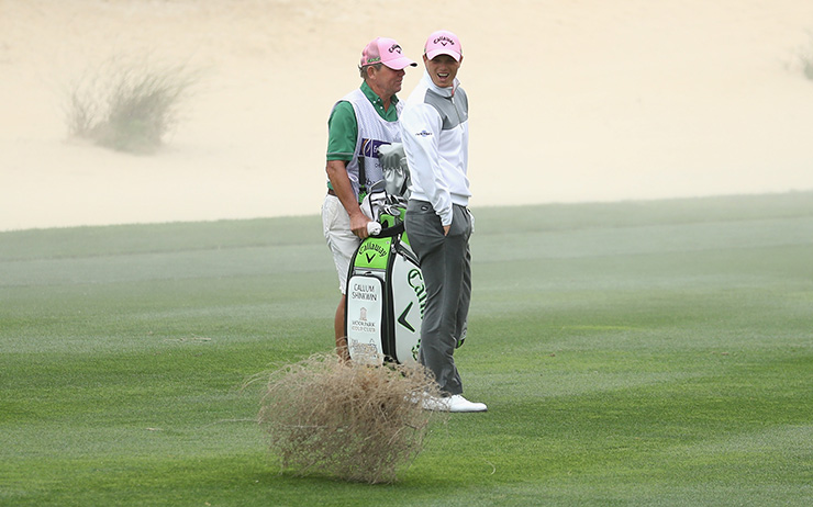 Trees down, Woods felled:  A whacky Desert Classic Friday