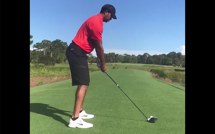 Hank Haney views video, says Tiger Woods’ swing one ‘he could win with’
