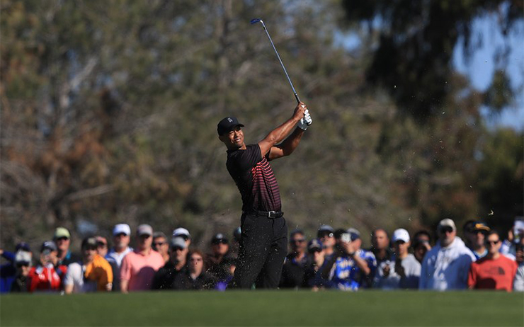 Watch Tiger Woods nearly ace the par-3 16th hole at Torrey Pines
