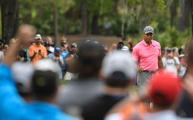 Watch Tiger Woods chip in for birdie to tie for the lead at the Valspar Championship