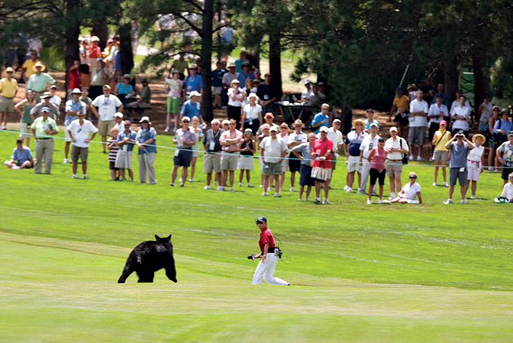Dottie Pepper recalls her harrowing encounter with a black bear at the 2008 U.S. Senior Open at the Broadmoor