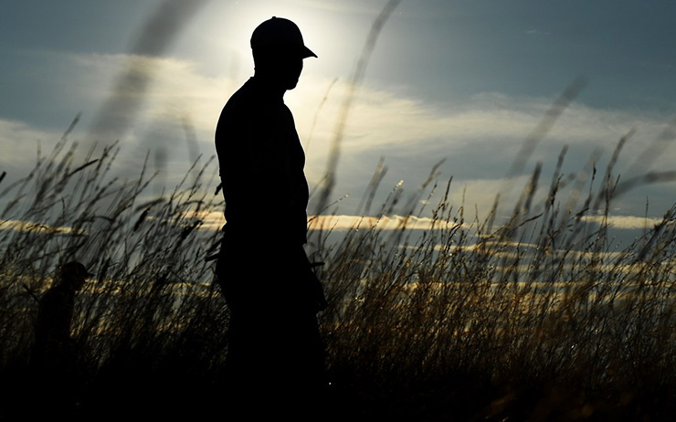 The Open 2018: An aching Tiger Woods survives his start, but was hoping for more