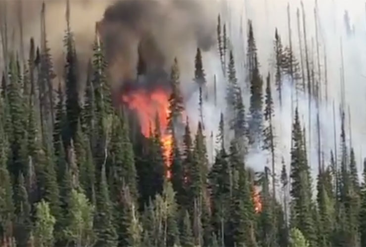 Greg Norman captures video of Colorado wildfire near Aspen ranch