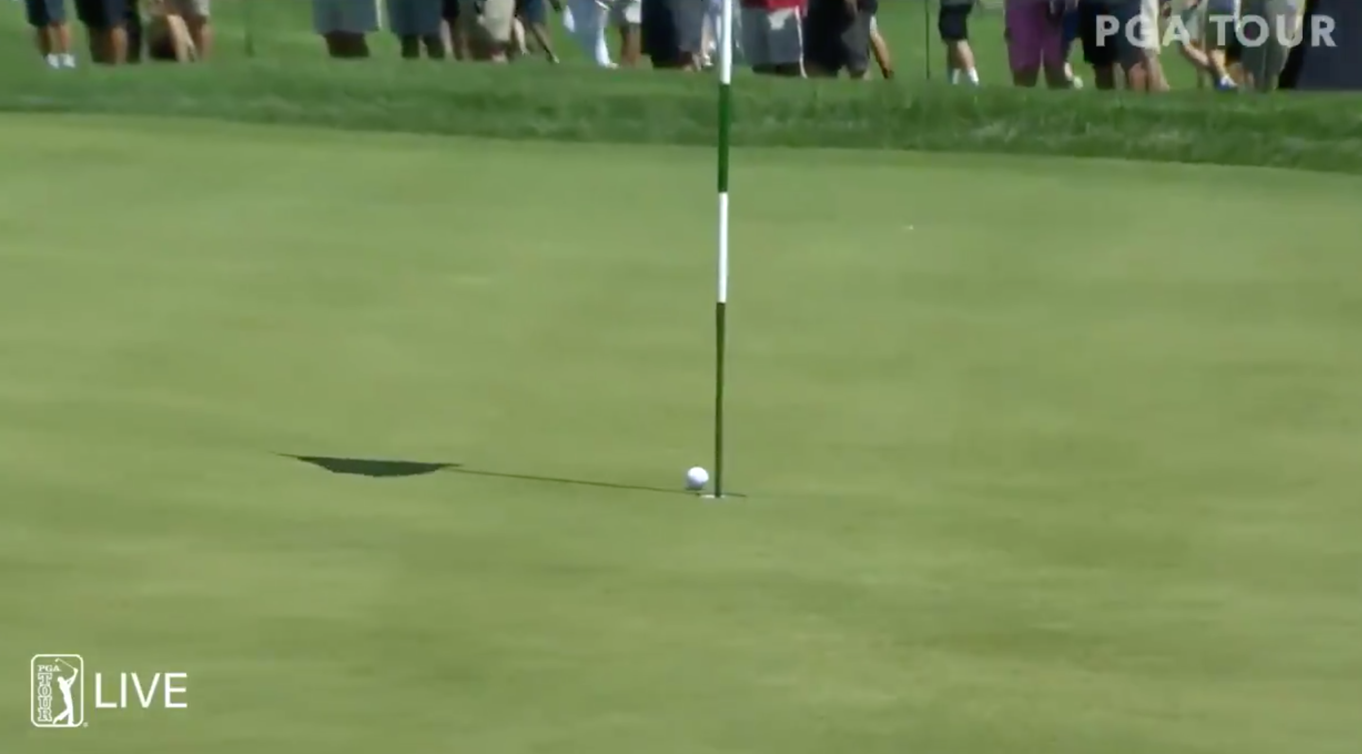 How was this NOT a hole-in-one for Dustin Johnson at the Northern Trust?