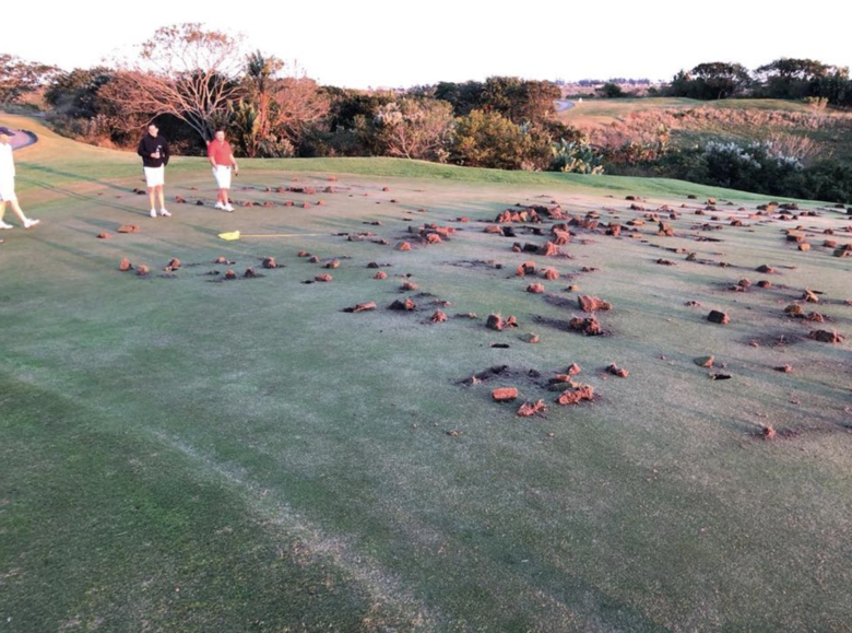 Sunshine Tour to host tournament despite vandalism and threats to course