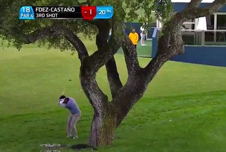 Gonzalo Fernández-Castaño just made the up-and-down of the year — through a tree