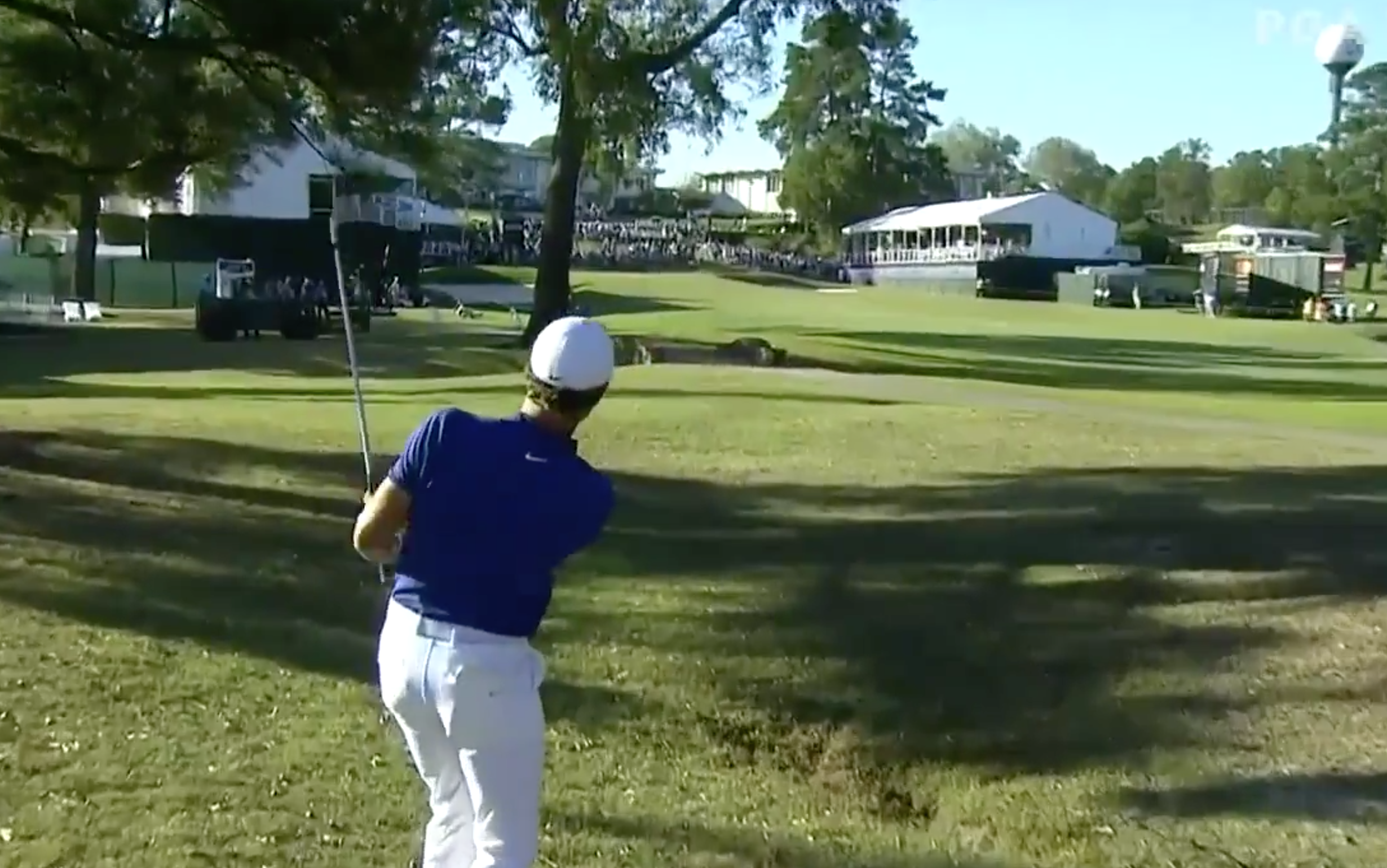 Cameron Champ’s victory-clinching shot at the 18th hole is already in the running for best of the year