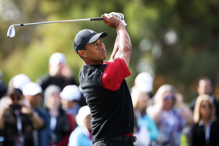 Tiger Woods made his first hole-in-one in 20 years in a round with Fred Couples over Thanksgiving