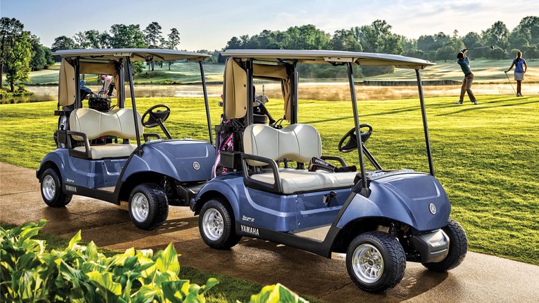 Wives accidentally kill their husbands following freak golf cart crash