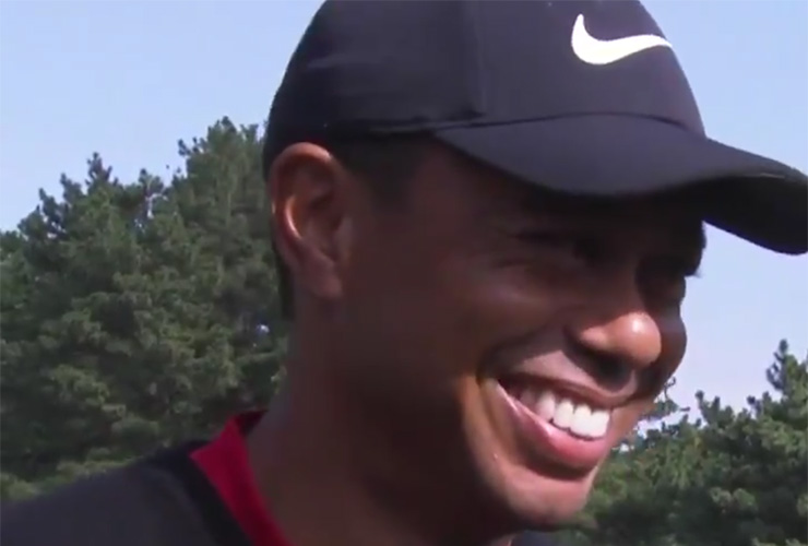 Judging by this answer, Tiger Woods is definitely picking Tiger Woods to play on the Presidents Cup team