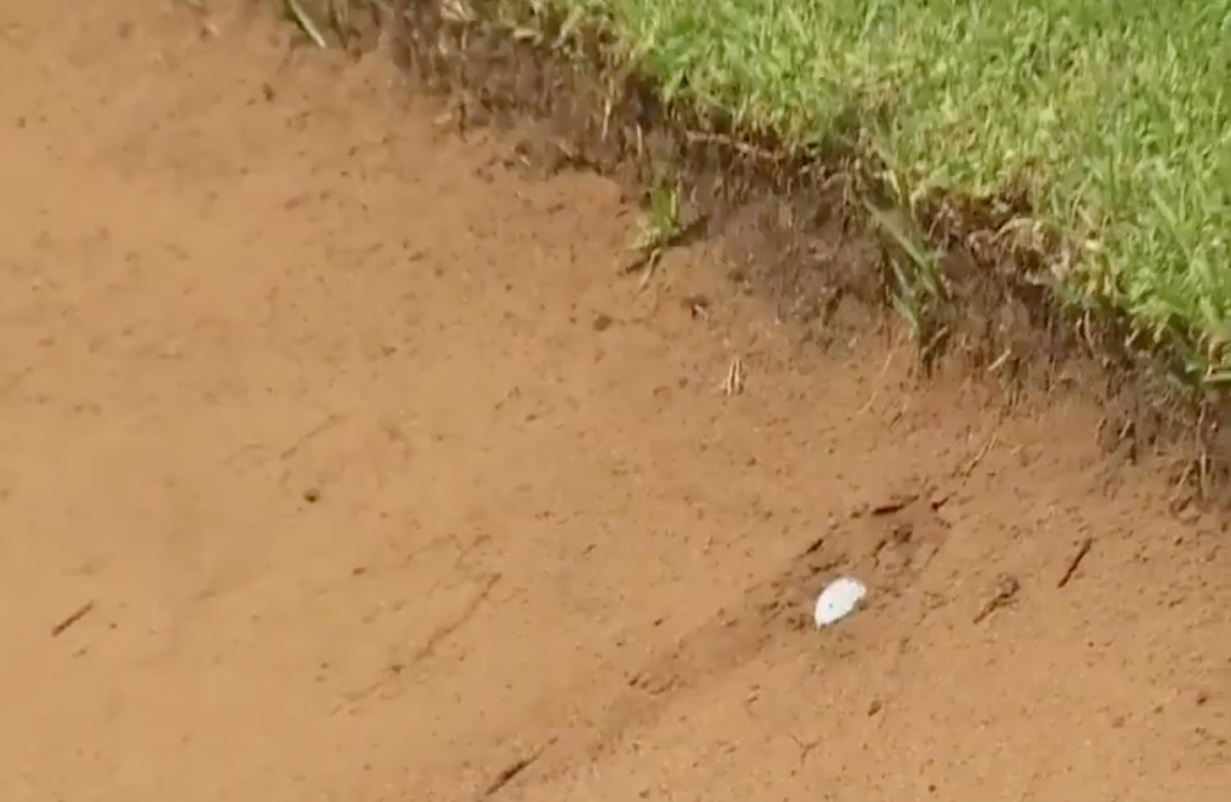 Lee Westwood got up and down from this hideous buried lie in a bunker