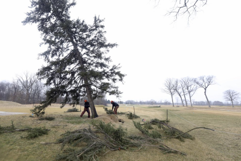 The notorious Hinkle Tree from the 1979 U.S. Open has died, but the legend lives on