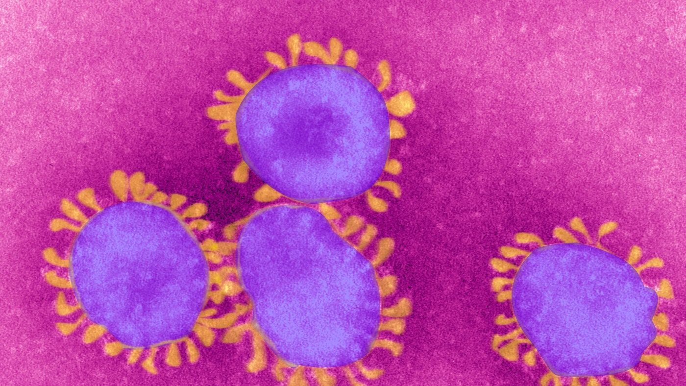 Infectious disease experts rank golf as one of the ‘safest sports’