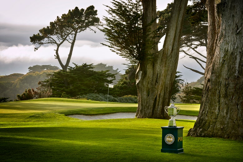 TPC Harding Park, site of the 2020 PGA Championship, set to re-open to public