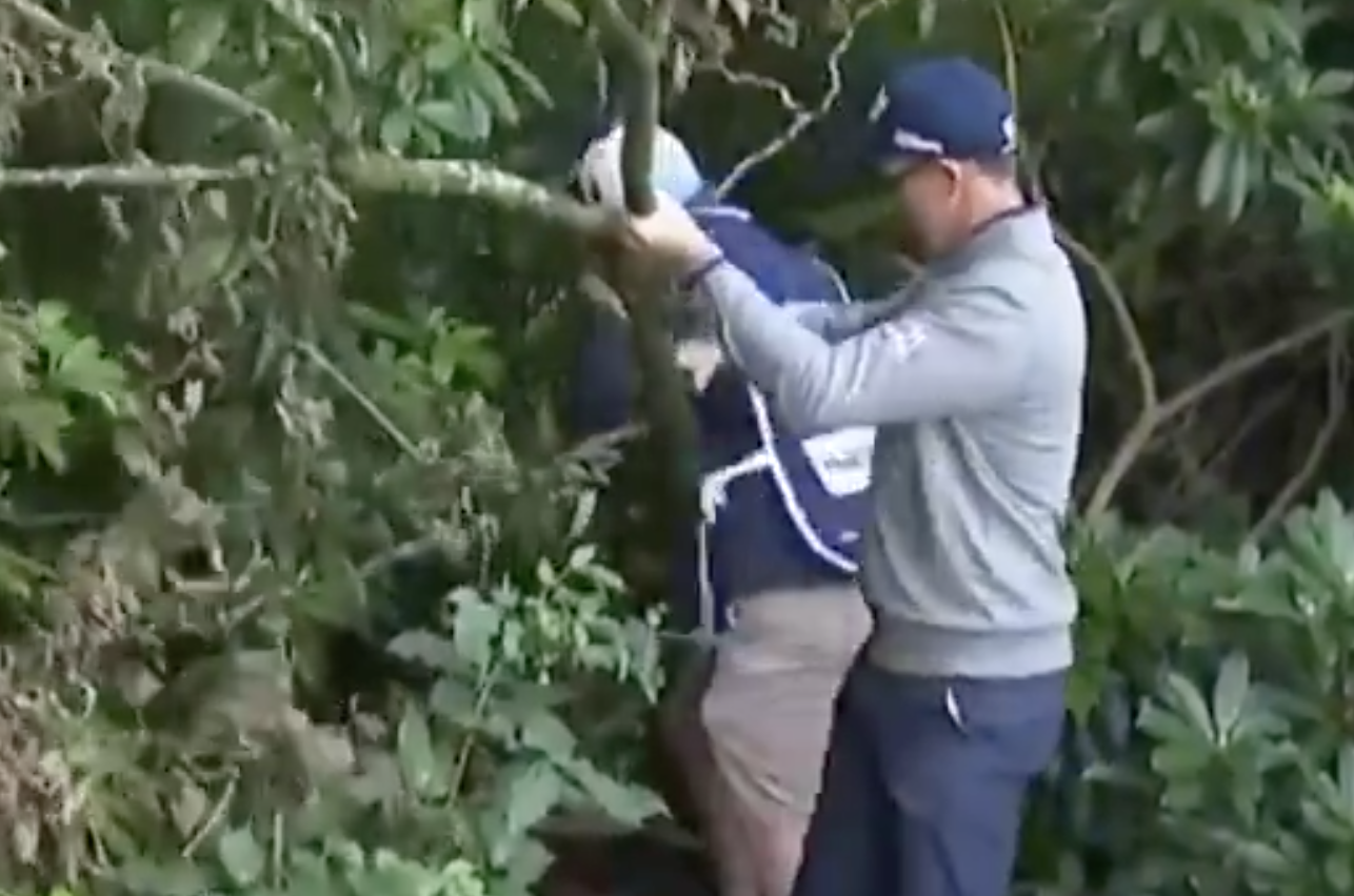 Padraig Harrington and his caddie teamed up to move one of the largest loose impediments in golf history