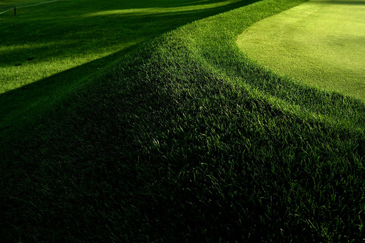 The return to Winged Foot means a return to this USGA favourite—gnarly rough