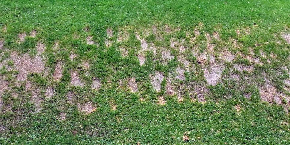 This is the wrong way to take divots on the driving range