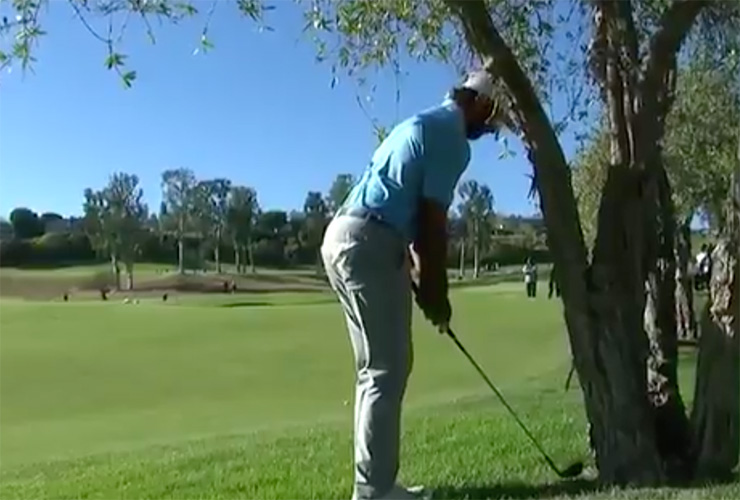 Watch Max Homa’s remarkable chip from against a tree during the Genesis Invitational playoff