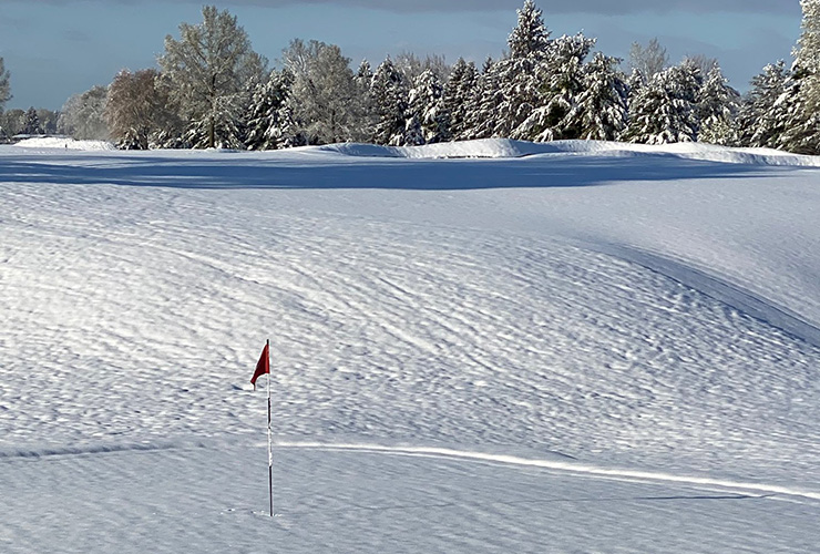 If the Solheim Cup was being played this week at Inverness Club, there would be a serious problem