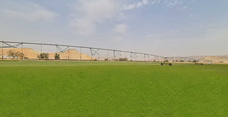 Atlas Turf Arabia receives ITGAP approval for production of Platinum TE Paspalum 