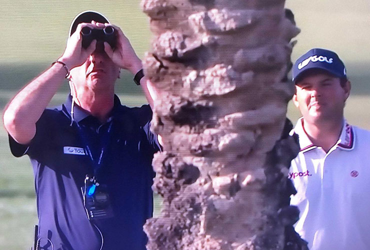Patrick Reed involved in another rules question after ball gets stuck in tree in Dubai