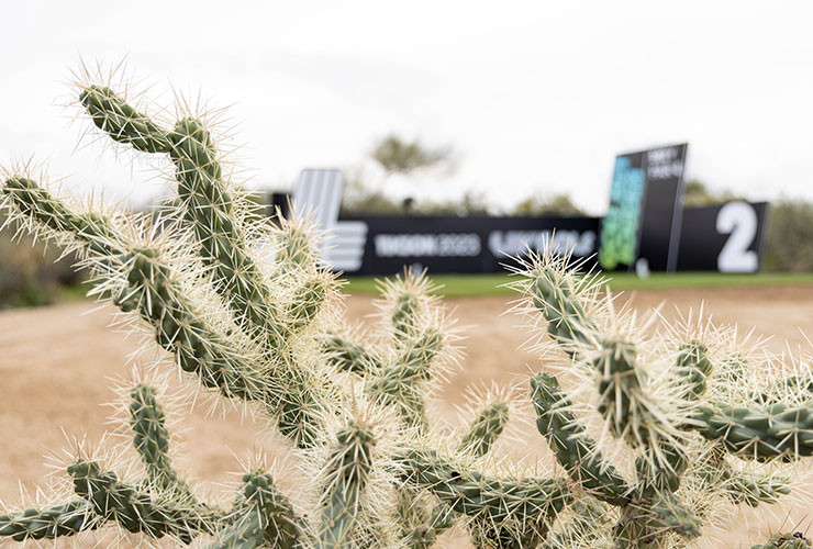 Team-by-team analysis ahead of LIV Golf Tucson