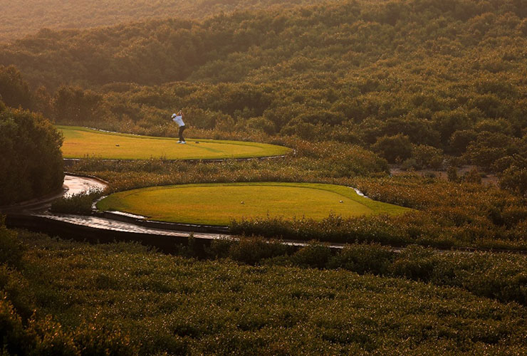 Al Zorah Golf Club pledges to plant one mangrove tree for every round of golf played in April