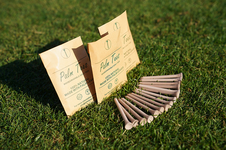 From tee to green: Introducing Palm Tees, the environmentally friendly way to play