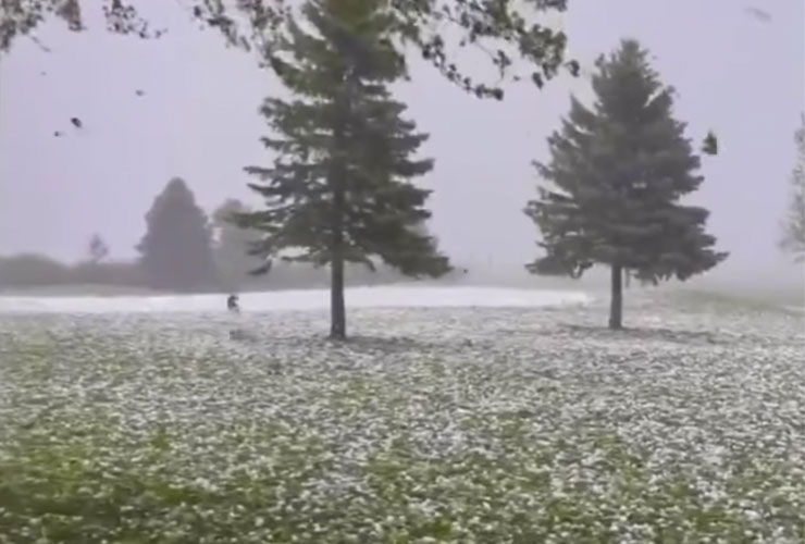 WATCH: Footage of a Minnesota golf course being demolished by a hailstorm will blow your mind and break your heart