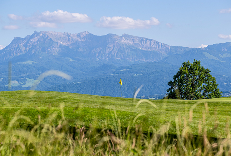 Here’s the prize money breakdown for each golfer at the 2026 Swiss Challenge