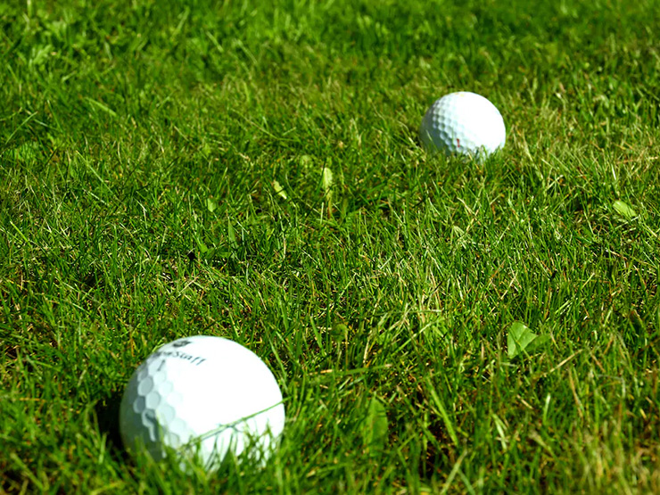 Rules of Golf Review: My opponent’s ball is in my peripheral vision. Can I ask him to move it?