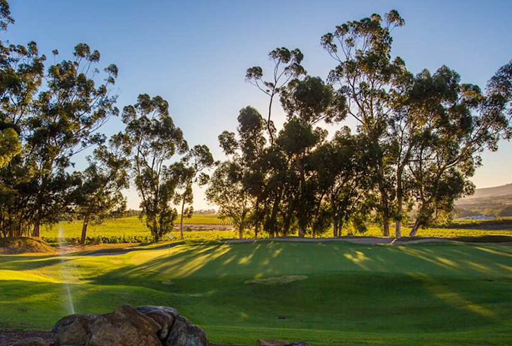 Here’s the prize money breakdown at the 2026 Investec South African Open Championship